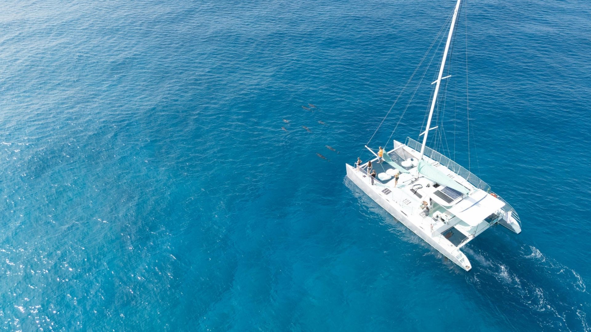 Liberty Pass Multihull