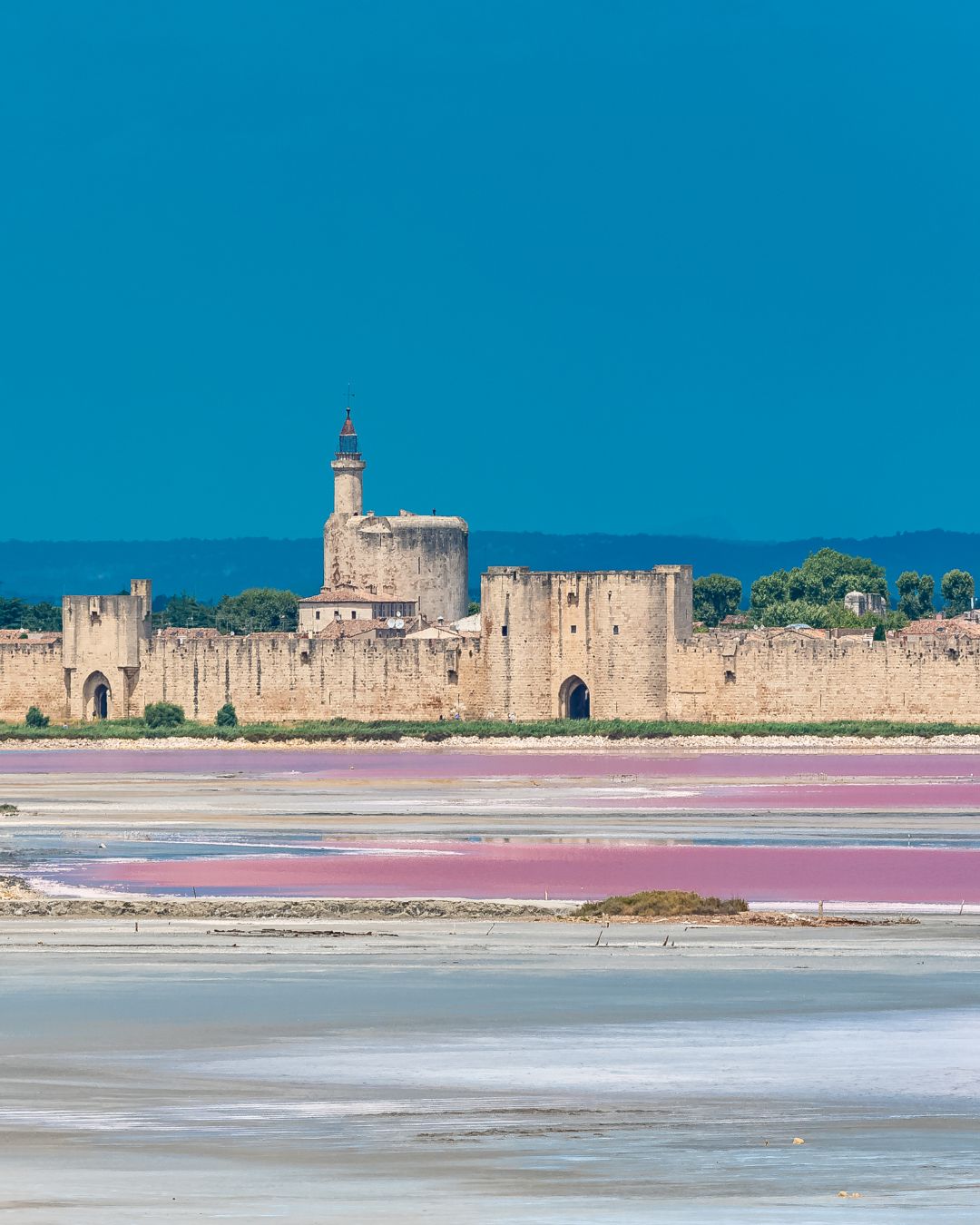 Navigation dans la baie d’Aigues-Mortes depuis Port Camargue