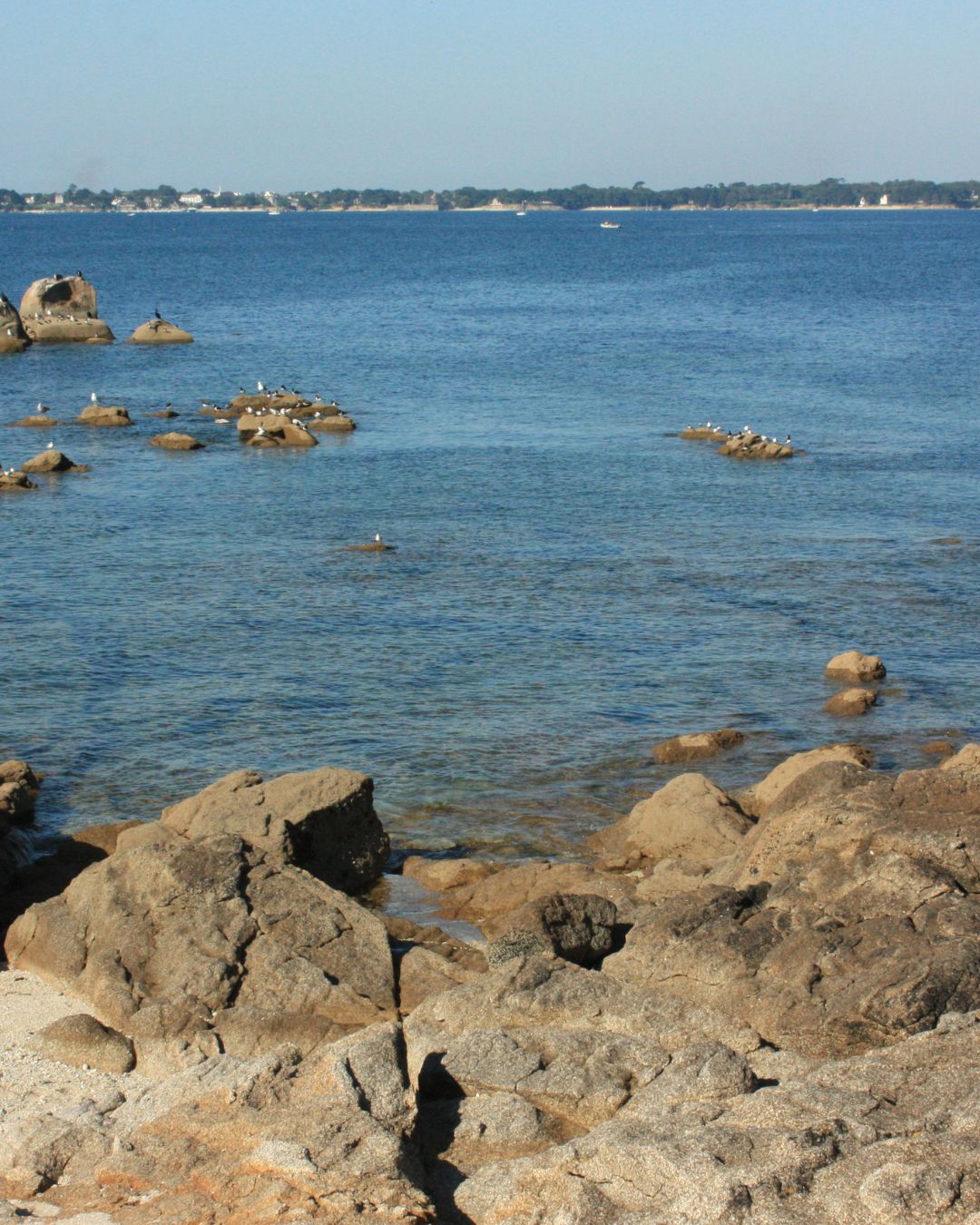 Navigazione a Concarneau, nel Finistère meridionale