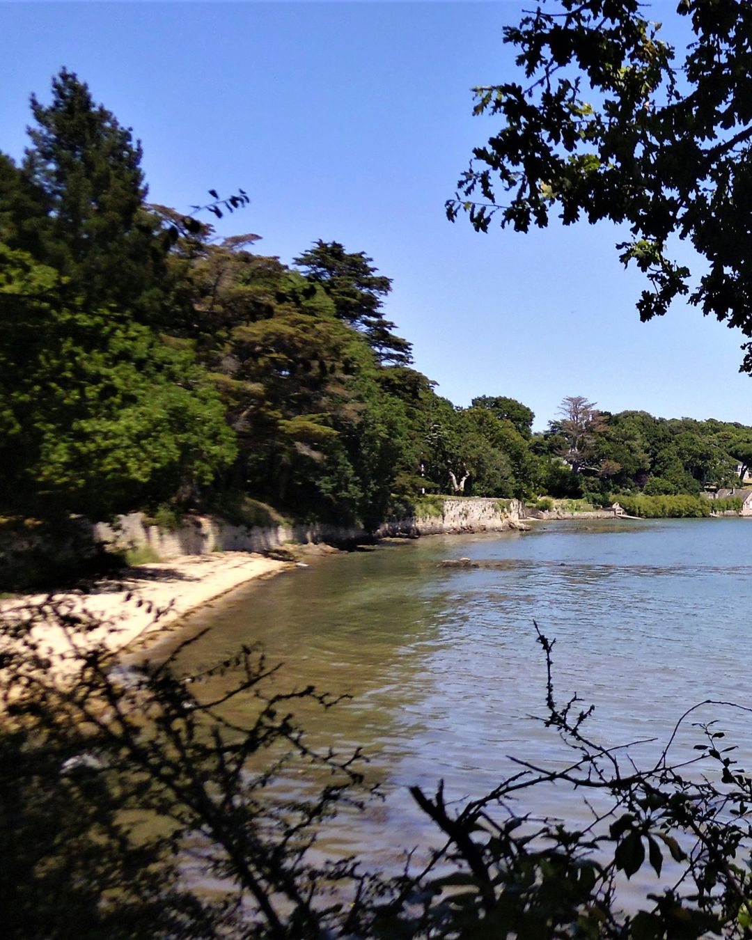 Navigazione tra le isole del Golfo di Morbihan con partenza da Baden