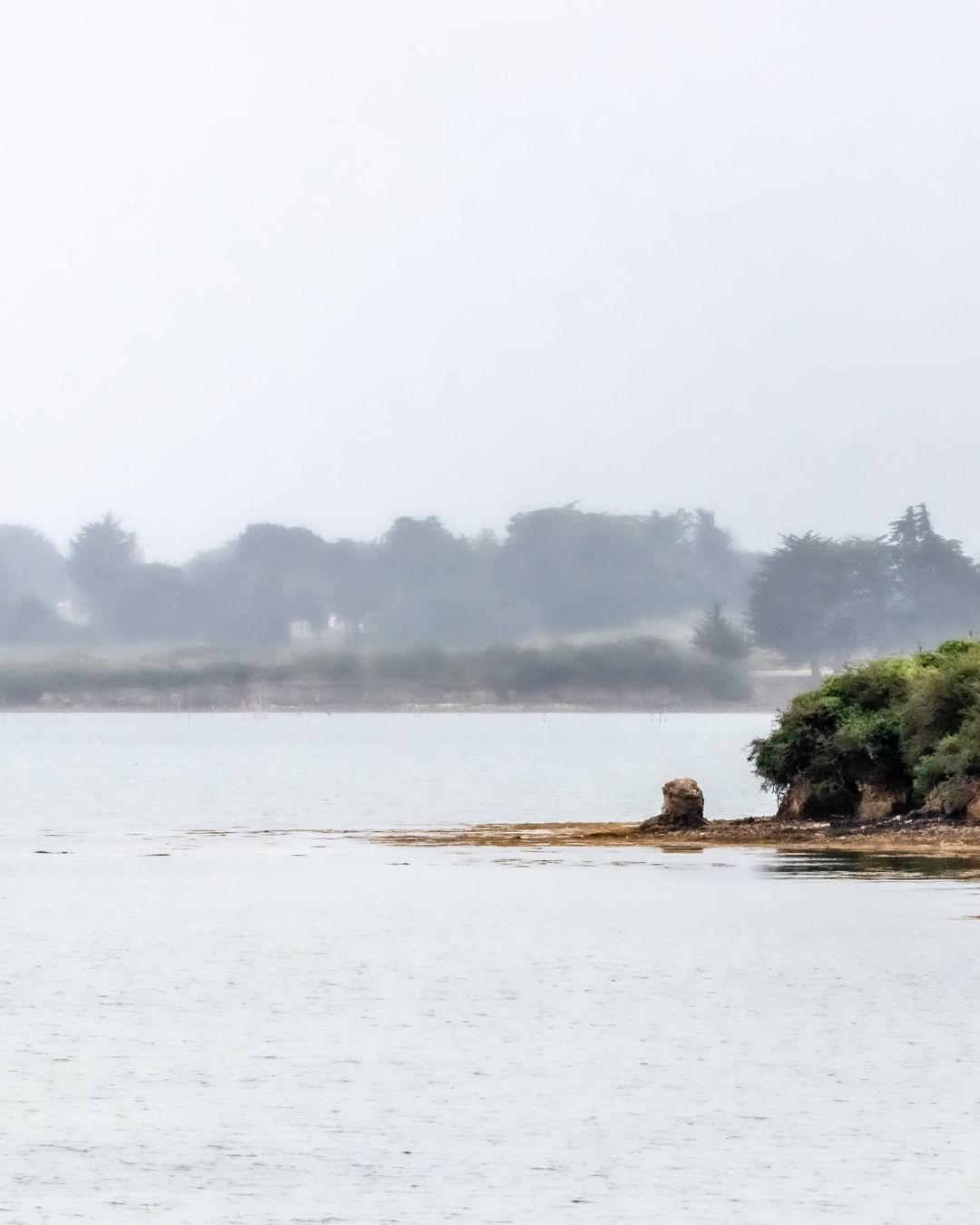 Navigation dans le Golfe du Morbihan depuis Le Crouesty