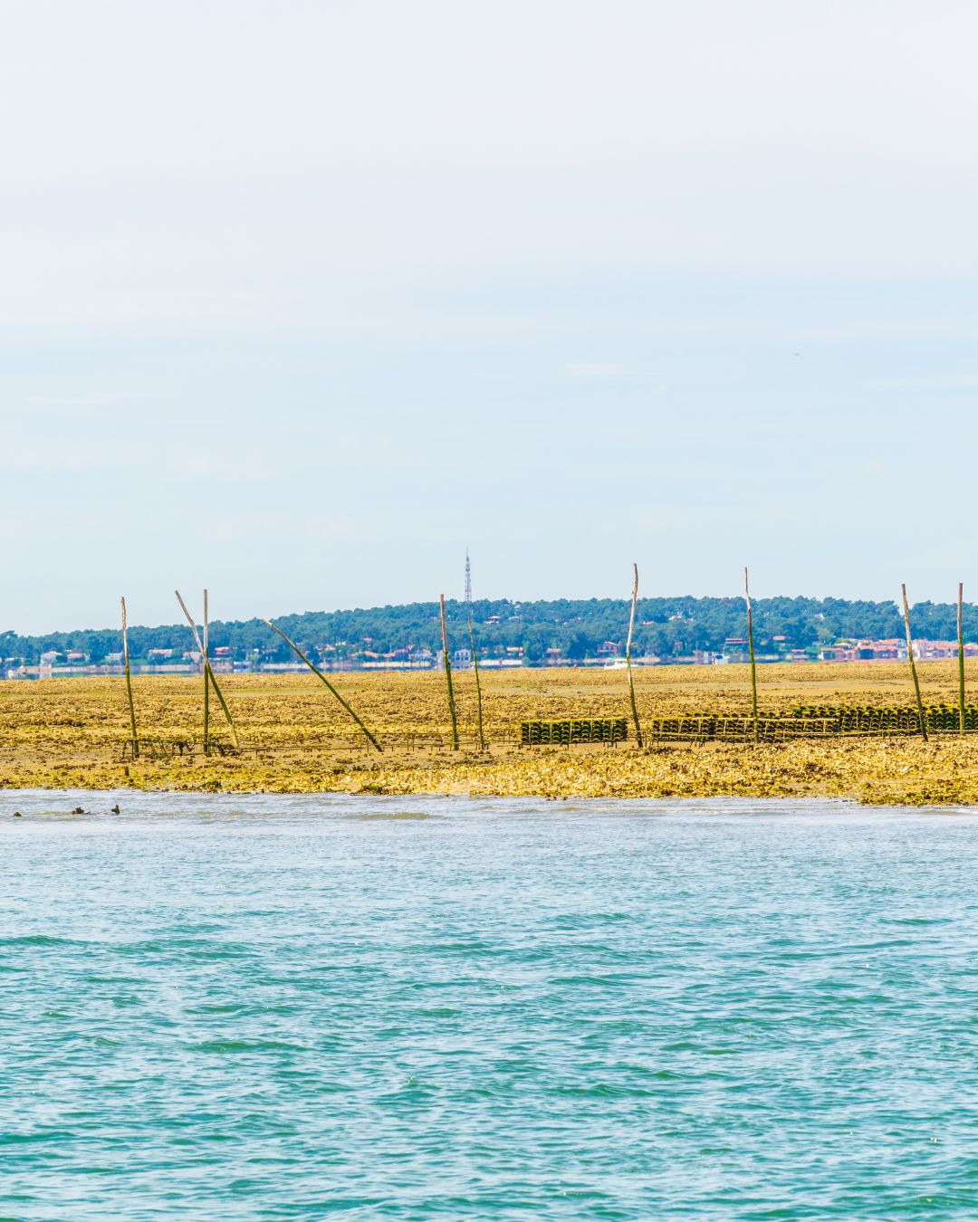 Navigation vers l'Île aux Oiseaux depuis le Cap Ferret