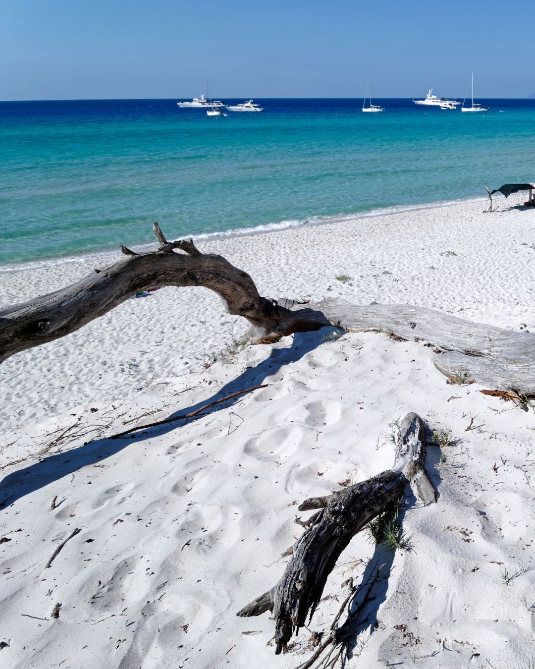 Navigation vers la plage de Saleccia depuis Saint-Florent