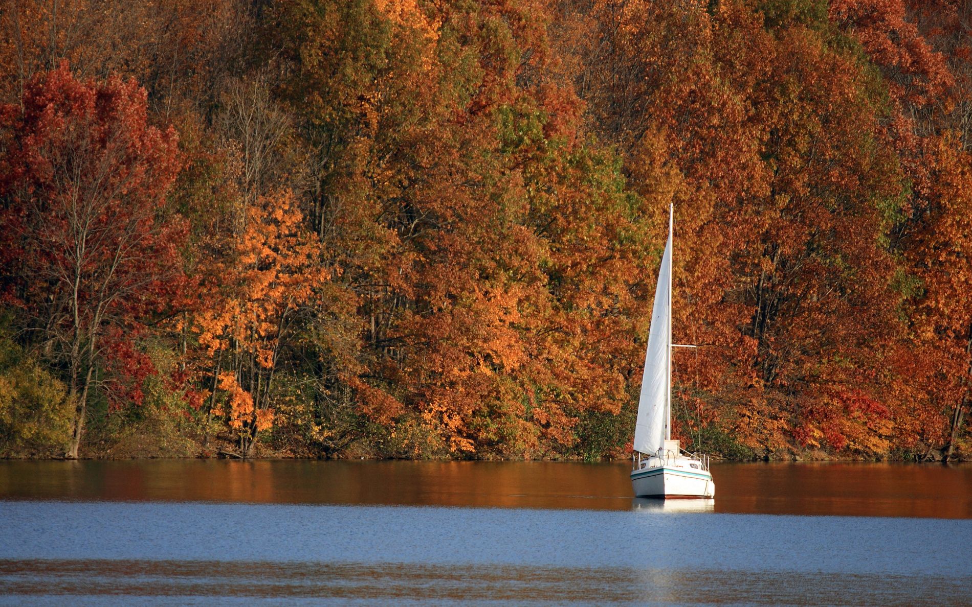 Port de plaisance calme en automne
